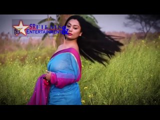 saree sundori   nancy in blue saree